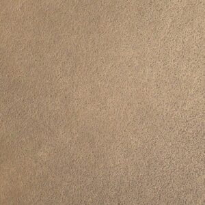 Close-up view of Bronze Cast, a beige textured wall surface with a rough, grainy finish.