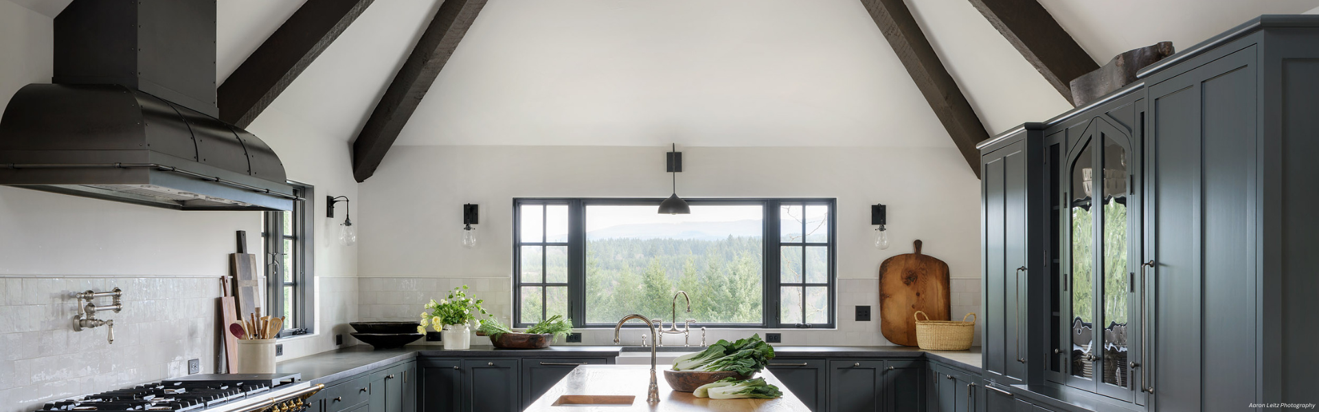 Banner Palisade Custom A modern kitchen featuring Banner Palisade Custom dark cabinets, exposed wooden beams, a central island with fresh vegetables, and large windows showcasing scenic tree and hill views.