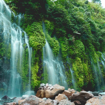 The product 117 features a lush green cliff blanketed in moss and ferns, with streams of water cascading into a rocky pool below.