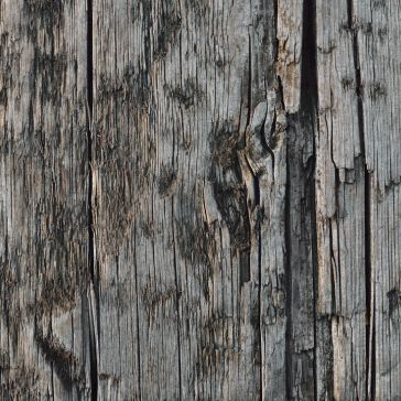 Close-up of Showroom Reclaimed 3: weathered wooden planks with peeling paint, rough cracked texture, visible grain patterns, discoloration, and splintered edges that highlight their aged character.