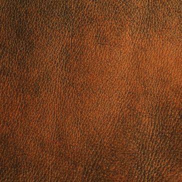 Close-up of Warm Foundry 5's textured brown leather surface, featuring natural grain patterns and subtle color variations.