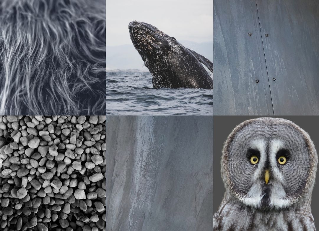Light Washed Mood Board Mobile The Light Washed Mood Board Mobile features a grid of six gray-toned images: shaggy animal fur, a breaching whale, metal panels, smooth pebbles, weathered metal, and a gray owl with yellow eyes.