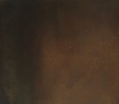 A close-up of the Rustic Iron surface, showcasing its textured, dark brown finish with subtle color and shadow variations.