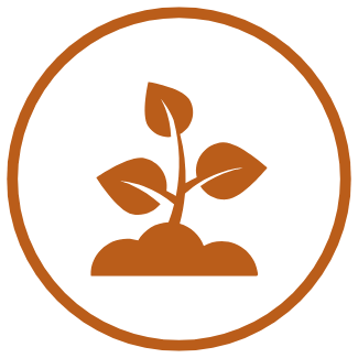 “1 (650 x 650 px)-4 features a simple brown line drawing of a three-leaf plant sprouting from soil, set within a brown circle on a white background.”.
