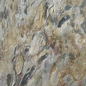 Close-up of Surya: a textured stone surface in beige, gray, and brown tones with natural cracks, veins, and mottled patterns throughout.